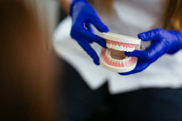 Best Dentures (Full and Partial)  in South Jacksonvle, IL